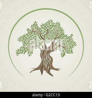 Olive tree vector illustration. Stock Vector