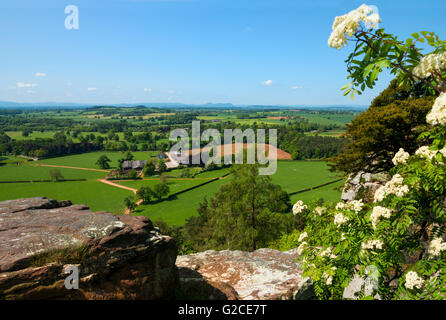 Looking out over North Shropshire countryside from Grinshill Hill, Shropshire. Stock Photo
