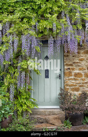 Wisteria growing over a country cottage in Oxfordshire UK Stock Photo