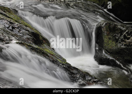 Nant Gwernol river and rocks on a woodland walk lies on the edge of Abergynolwyn Wales Stock Photo