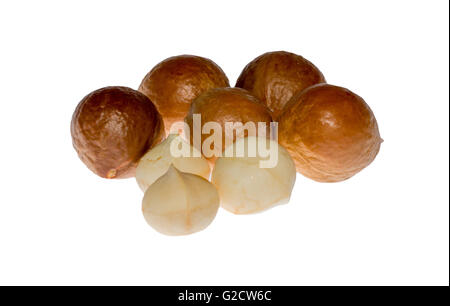 Shelled and unshelled macadamia nuts isolated on white background Stock Photo