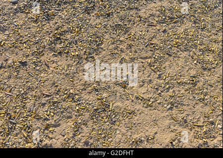 a shot of a ground riddled with spent shell casings from the discharging of guns at a gun range Stock Photo