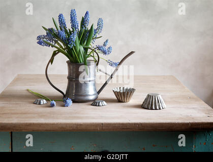 Still life with grape hyacinths arranged in an antique watering can with old moulds on a rustic wooden kitchen table Stock Photo