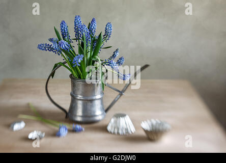 Still life with grape hyacinths arranged in an antique watering can with old moulds on a rustic wooden kitchen table Stock Photo