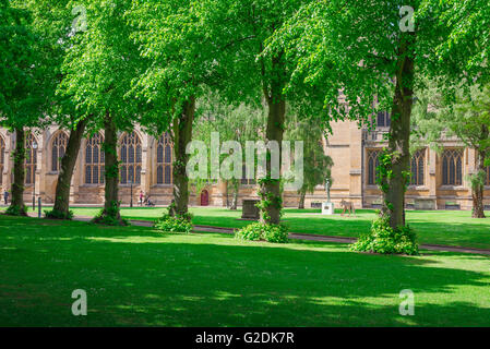 Bury St Edmunds cathedral, view in summer of the south wall of the cathedral and the Great Churchyard in Bury St Edmunds, Suffolk, England, UK Stock Photo