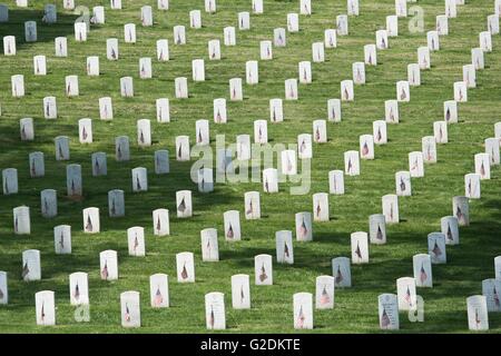 Thousands of American flags mark graves of soldiers who died in battle at Arlington National Cemetery in honor of Memorial Day May 26, 2016 in Arlington, Virginia This tradition, known as 'Flags In,' has been conducted annually since The Old Guard was designated as the Army's official ceremonial unit in 1948. Stock Photo