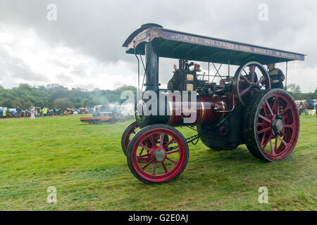 Steam powered traction engine Cromwell at the Vintage vehicle and steam rally in Corwen North Wales Stock Photo