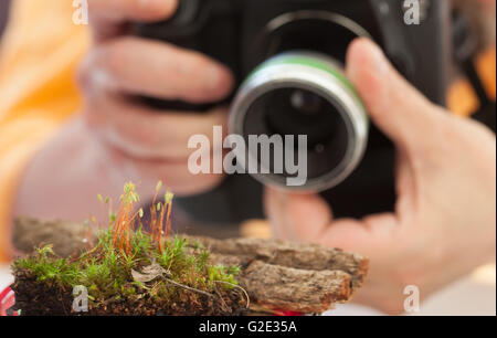 male hands holding a digital camera Stock Photo