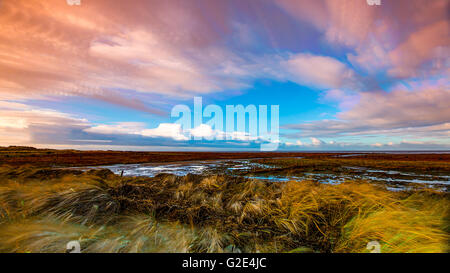 timelapse movement of clouds across marshland and grasses Stock Photo