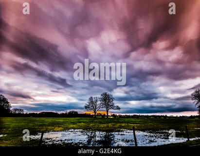 timelapse movement of storm clouds at sunset with silhouette of two trees Stock Photo