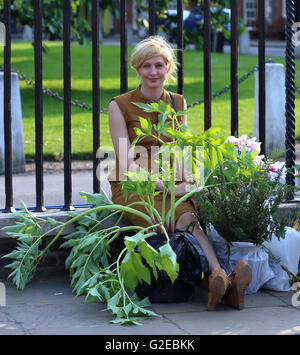London, UK.  28th May, 2016. Waiting for pickup following busy shop during the plant sell off at Chelsea Flower Show.  Credit:  Phillip Groombridge/Alamy Live News Stock Photo
