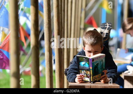 Hay Festival 2016, Hay on Wye, Powys, Wales UK Monday 30 May 2016 A keen young reader with his Bear Grylls book enjoying reading in the warm May bank holiday Monday sunshine at the Hay Festival 2016. For ten days in late May and early June the small town of Hay on Wye on the Wales-England border becomes the 'Woodstock of the Mind', and attracts some of the worlds best writers, novelists and poets photo Credit:  keith morris/Alamy Live News Stock Photo