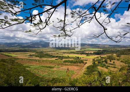Horizontal view across Valle De Los Ingenios, Cuba. Stock Photo