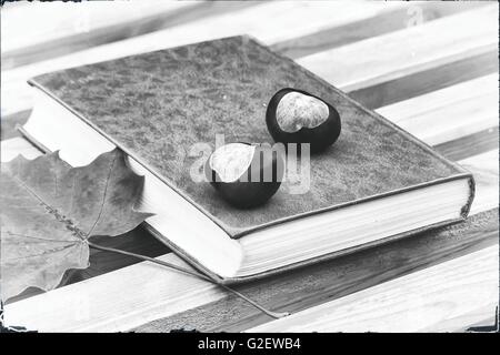 On a wooden bench in the Park is a book, chestnuts and fallen autumn leaves. Stock Photo