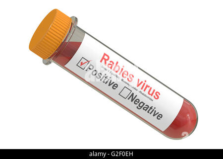 Test tube with blood sample positive Rabies virus, 3D rendering Stock Photo