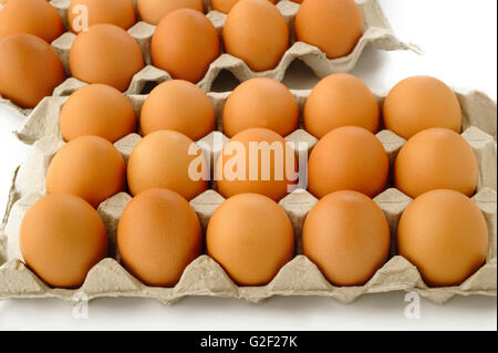 fresh eggs in package Stock Photo