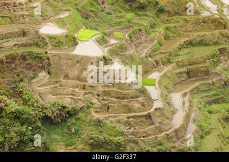 Ifugao rice terraces from Banaue viewpoint in April, northern Luzon, Philippines Stock Photo