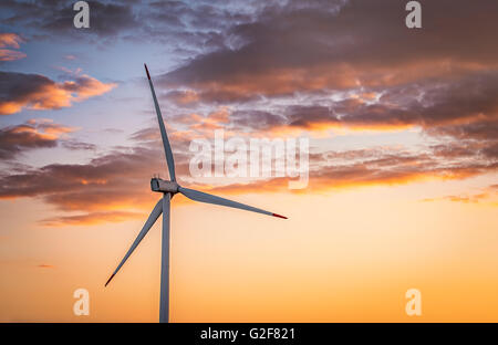 Beautiful sunset above the windmills on the field. Stock Photo