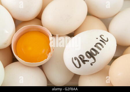 Fresh eggs with one broken one. Organic eggs Stock Photo