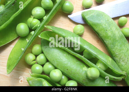 Peas in pods, being prepared for cooking, in England, UK Stock Photo