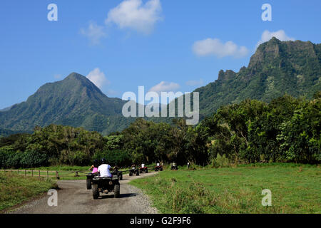 A group of ATV quad riders take to the trail near Ko'olau Range in Oahu, Hawaii. Stock Photo