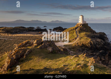 Tŵr Mawr Lighthouse on Llanddwyn Island, Anglesey, North Wales UK at sunrise. Stock Photo