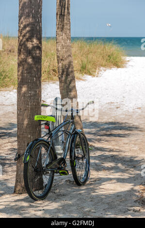 Single bicycle parked against a palm tree on a sandy beach access at Neptune/Atlantic Beach in Jacksonville, Florida. (USA) Stock Photo