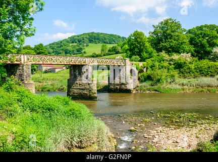 Old Railway Bridge at Tintern, crossing the River Wye in the Wye Valley, as part of the Wye Valley Walk Stock Photo