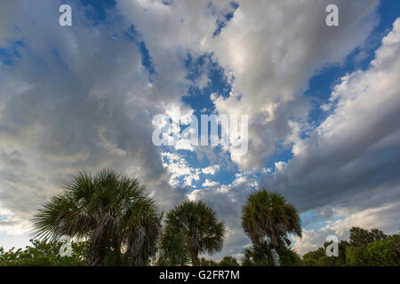 Dramatic sky and cloud formations over Venice Florida Stock Photo