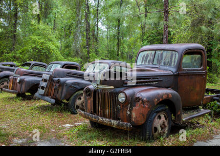 Old rusted abandoned cars and trucks in Crawfordville Florida Stock Photo