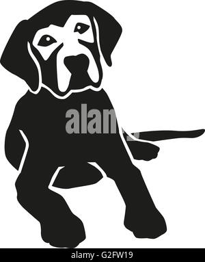 Lying labrador retriever Stock Photo