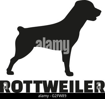 Rottweiler with breed name with short tail Stock Photo