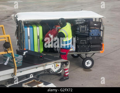 Baggage handler at Manchester airport. UK Stock Photo