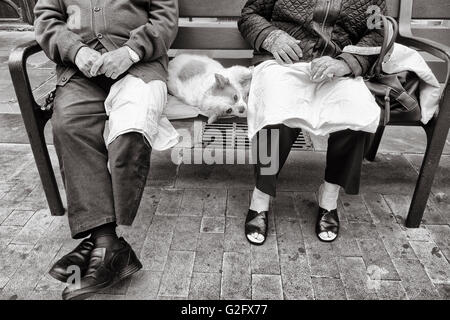 Elderly couple sitting on seat in park with pet dog stretched out between them Stock Photo