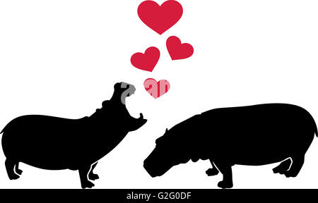 Hippos in love Stock Photo