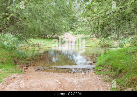 The road through the Wilderness area in the Baviaanskloof (baboon valley) crosses the Baviaans River on a concrete causeway Stock Photo