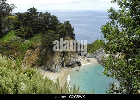 Julia Pfeifer Burns State Park on the Big Sur Coast in Central Coast California along California State Route 1 Stock Photo