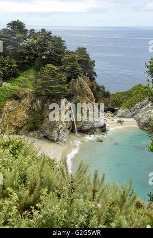 Julia Pfeifer Burns State Park on the Big Sur Coast in Central Coast California along California State Route 1 Stock Photo