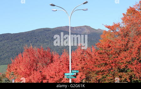 Fall colors in Turangi in New Zealand Stock Photo