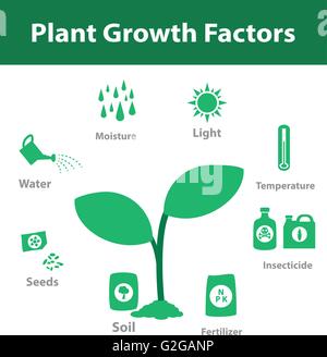 Plant growth factor infographic in monochrome, vector Stock Vector