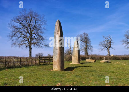 Alignement von Couches in Frankreich - Menhirs d Epoigny in France near Couches Stock Photo