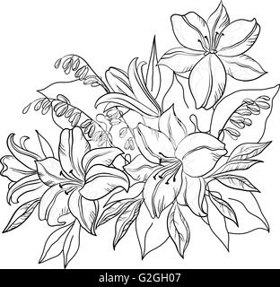 Flower lily, contours Stock Vector