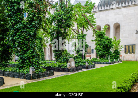 The Jewish cemetery adjacent to the Dohány Street Synagogue in the centre of Budapest, Hungary. The Dohány Street Synagogue is t Stock Photo