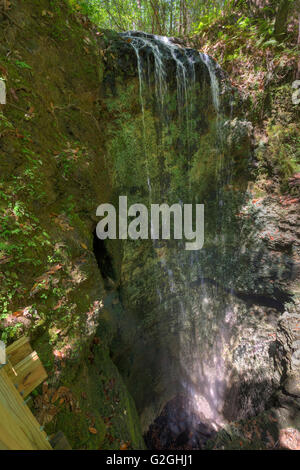 Falling Waters State Park is located in Chipley, Florida, and features a 73 foot waterfall, the highest in the state. Stock Photo