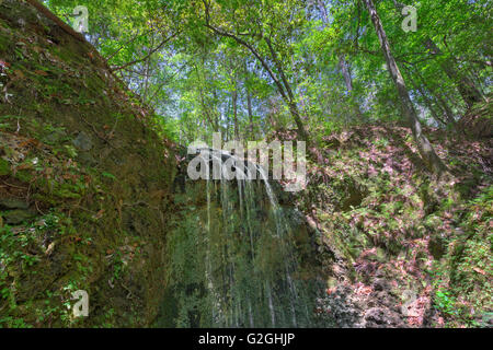 Falling Waters State Park is located in Chipley, Florida, and features a 73 foot waterfall, the highest in the state. Stock Photo