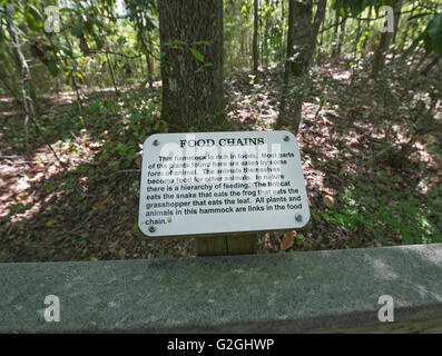 Falling Waters State Park is located in Chipley, Florida, and features a 73 foot waterfall, the highest in the state. Stock Photo