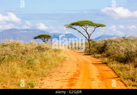 Acacia trees bordering a red dirt road through the Tsavo National Park near Voi in Kenya East Africa Stock Photo