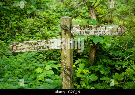 Lichen covered sign post in The Undercliff on the South West Coast Path between Lyme Regis in Dorset and Seaton in Devon UK Stock Photo