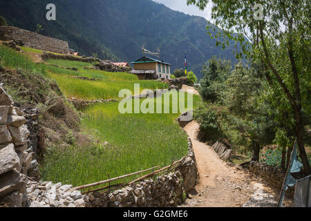 Himalayan village on the track to the Everest base camp Stock Photo