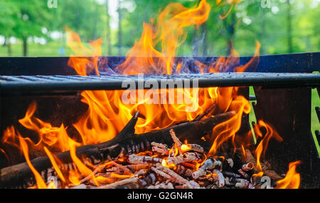 Bonfire, wood and fire in the camp on the nature of the close-up Stock Photo